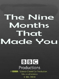 Девять месяцев, которые создают нас
