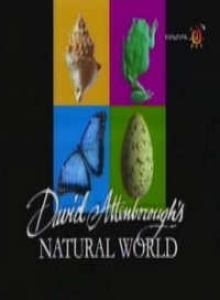 Наедине с природой